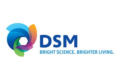 DSM